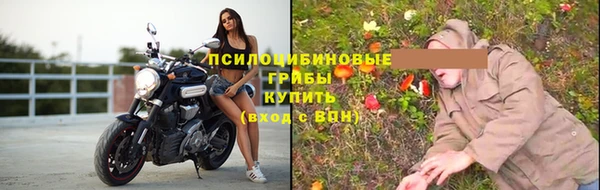 молекула духа Гусиноозёрск